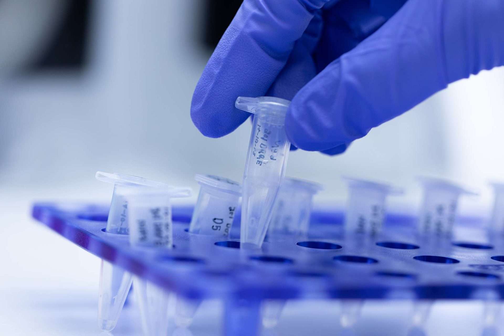Probiotics in cleaning research